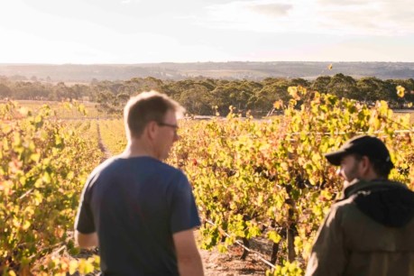 Wandering with intent at Willunga brings rewards of the vine and a village feel