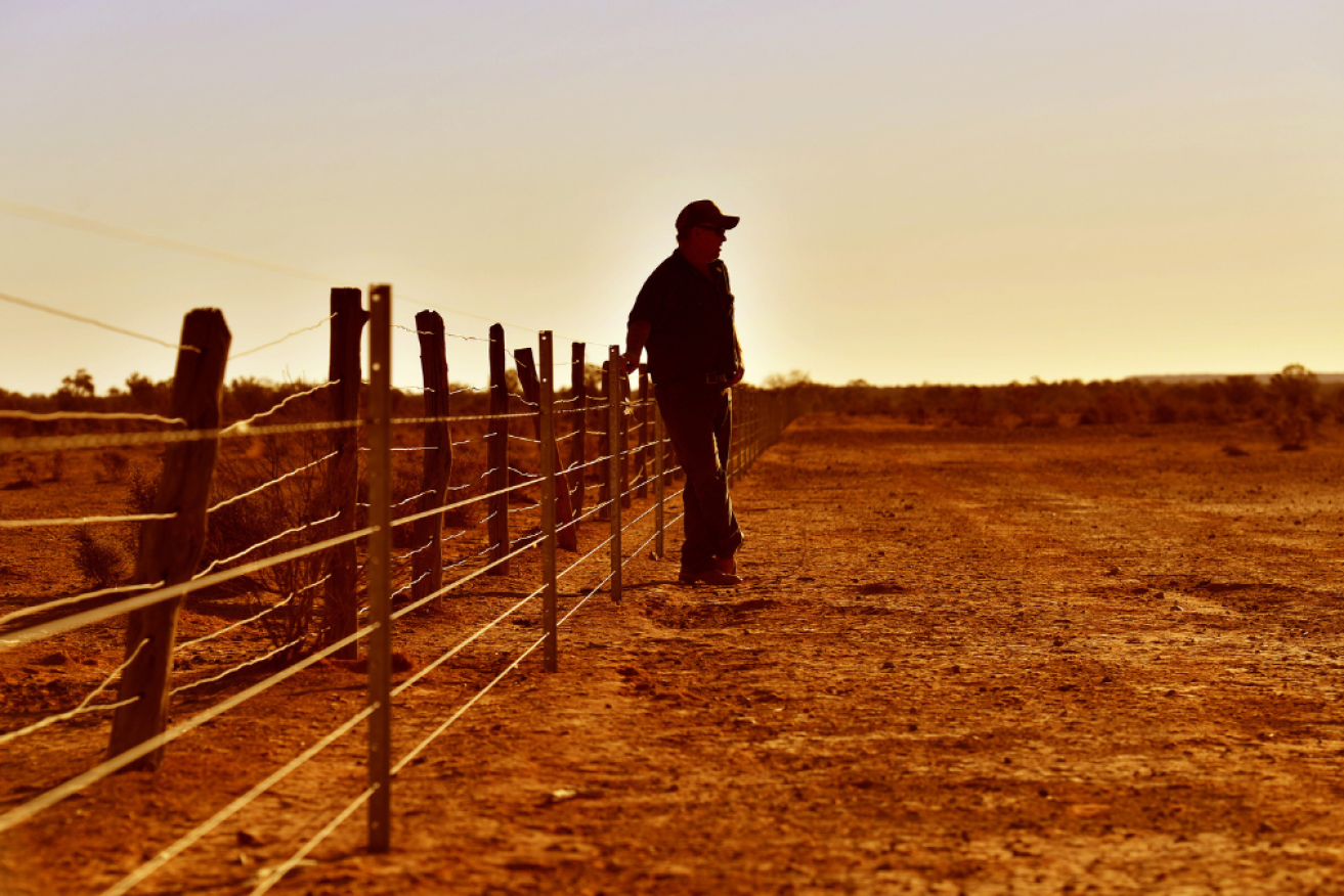 Climate change causing food-price inflation is a euphemism, writes Michael Pascoe.