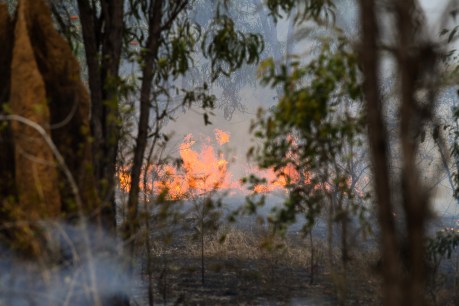 Large, fast fire threatens properties in western Queensland