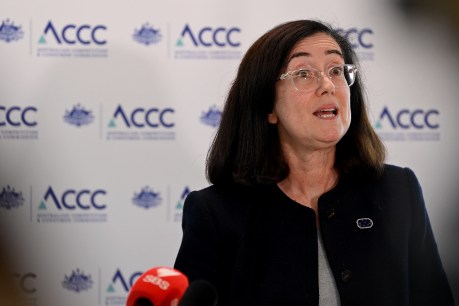 Energy prices, green credentials head ACCC concerns