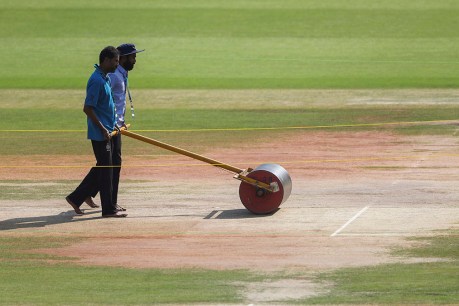 BCCI, team management blamed for Indore pitch