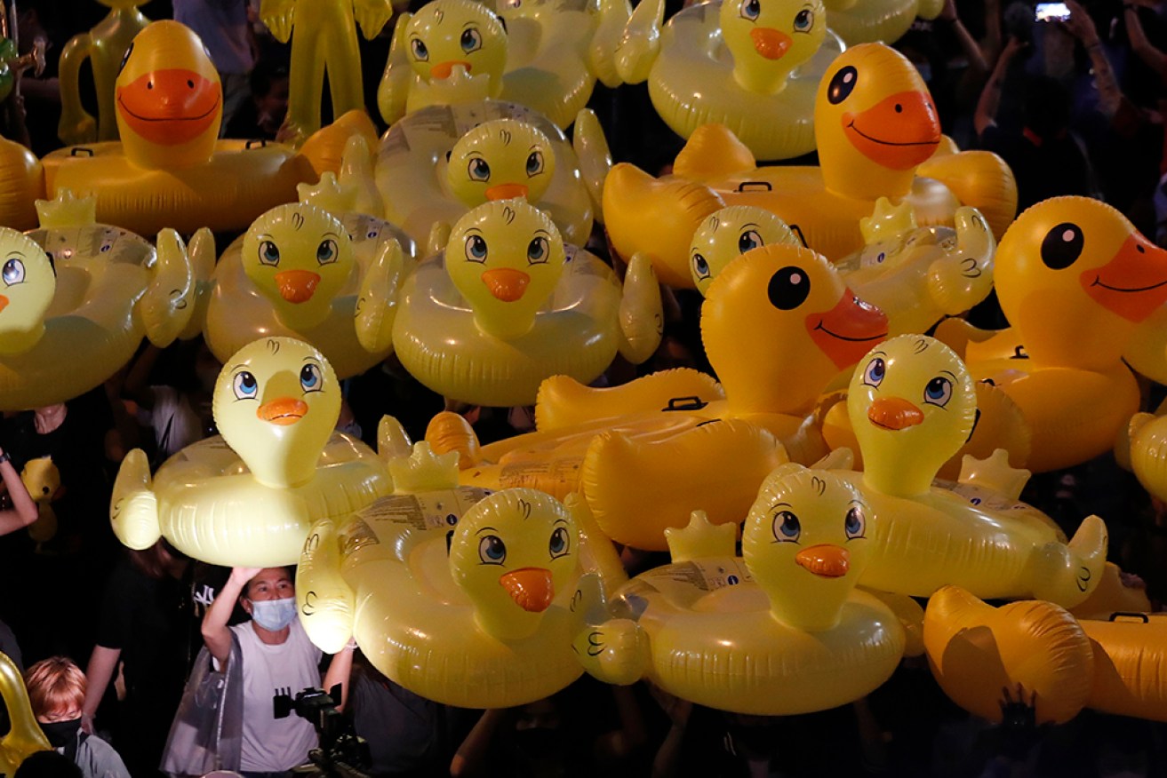 The yellow rubber duck is a symbol of a Thai anti-government protest movement. 