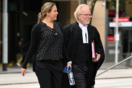Prosecutors urge guilty verdict in Leifer trial