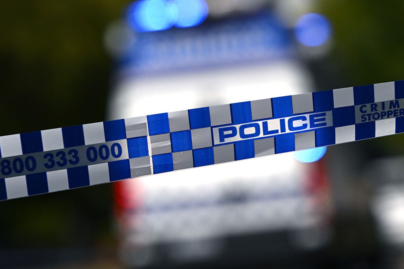 A boy has been killed by a falling tree branch in northern Victoria after wild weather in the state.