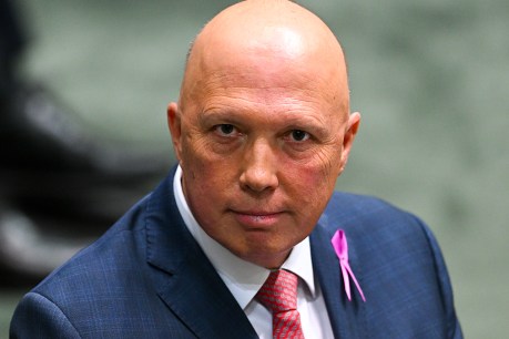 Dutton flags support for budget cuts to fund subs
