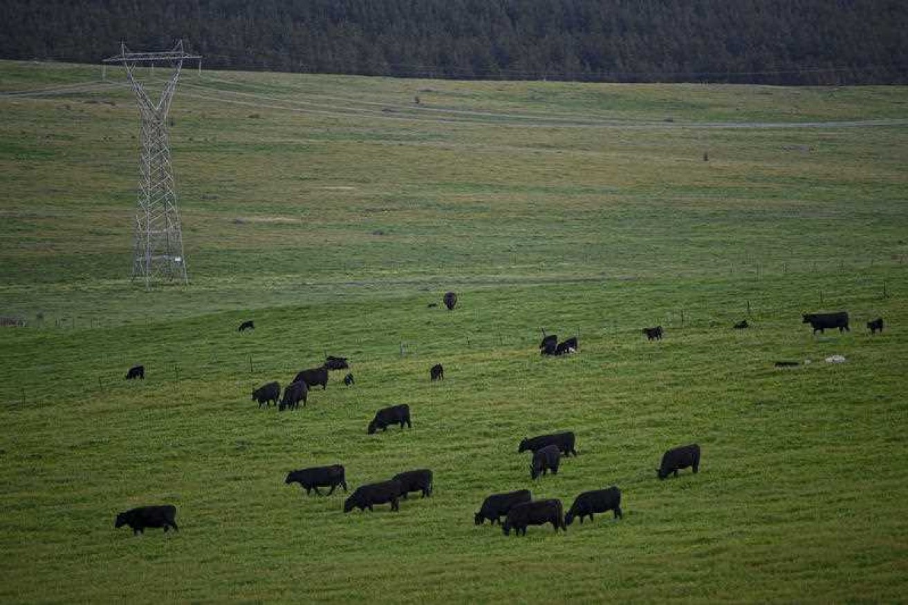 Farmers have told an inquiry about the tactics employed by banks in repossessing their properties.