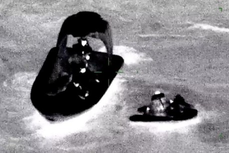 Cruise ship in Bass Strait rescues pair in dinghy