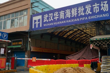 Chinese COVID-19 data from Huanan market provides clues to origins: Report