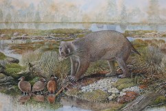 Wombat and possum-like fossils fill evolutionary gap