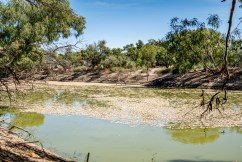 Poor river management behind Darling fish kills 