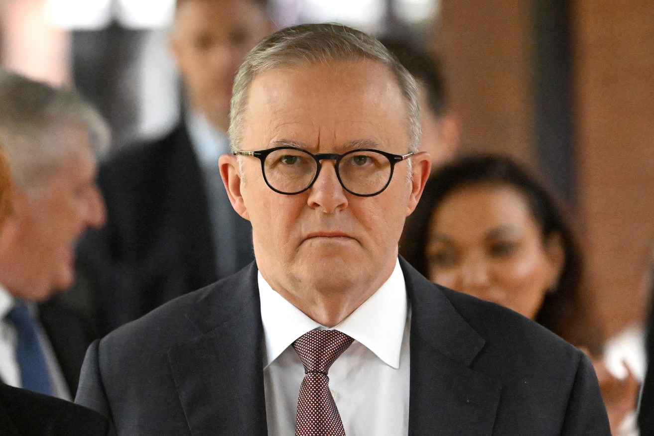 Anthony Albanese has taken the infighting Victorian Liberal Party to task.