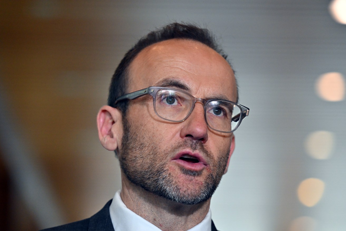 Greens leader Adam Bandt says the party's fight against new coal and gas projects continues.