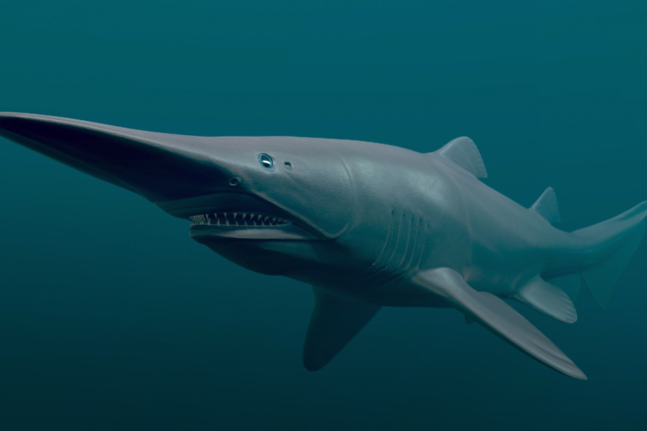 3D rendered deep sea Goblin Shark. Image: Getty