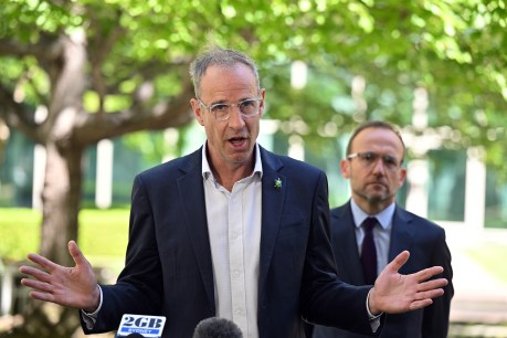 Greens senator's fury over climate deal