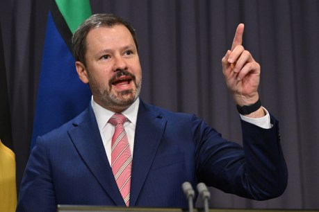 Labor backs $15b fund to breath new life into industry