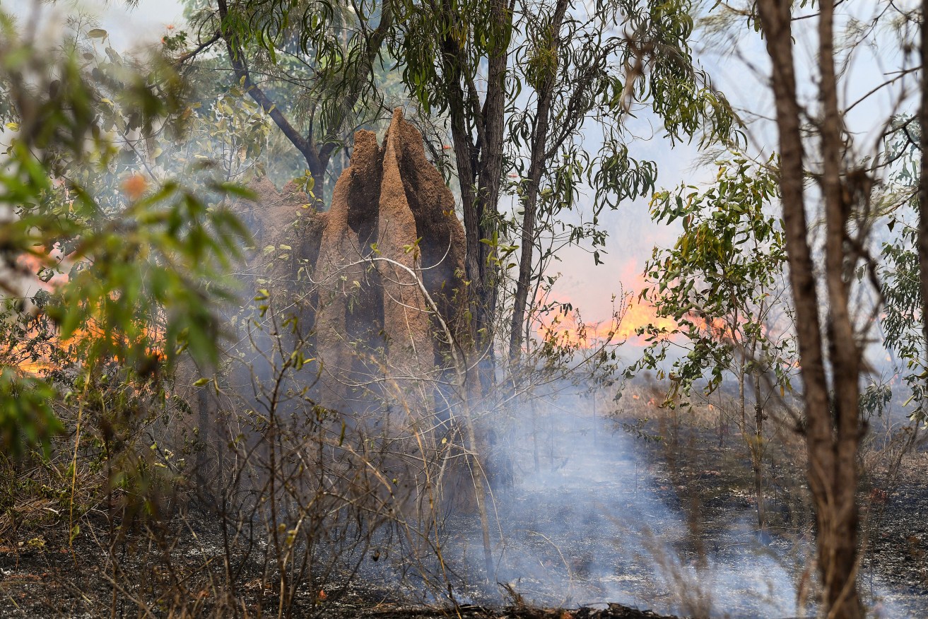 Victoria is expanding a program of controlled burns by Indigenous groups across the state.
