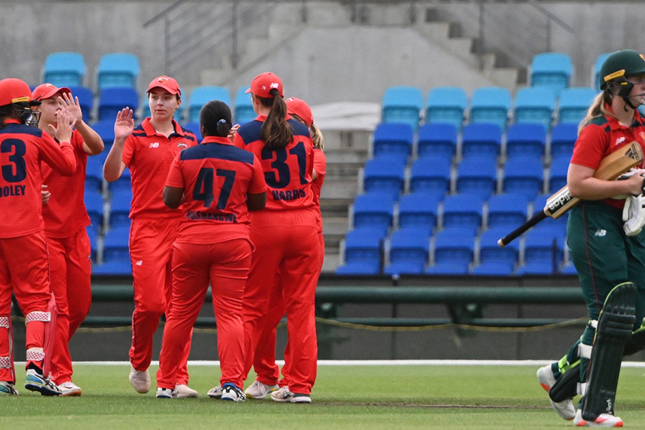 Australia's domestic female cricketers are set for a substantial pay rise in a landmark deal. <i>Photo: AAP</i>