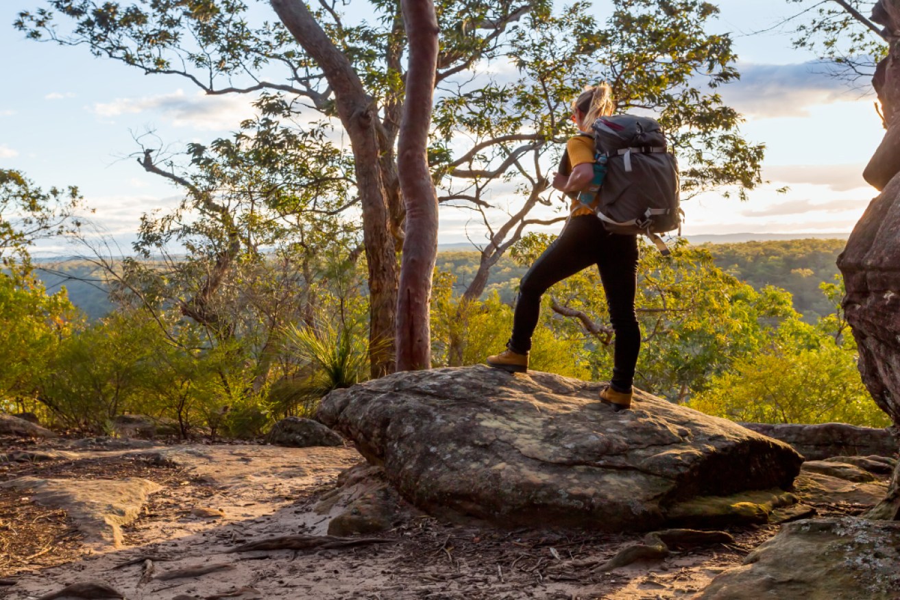 Bushwalking is a cheap restorative for mental and physical health.