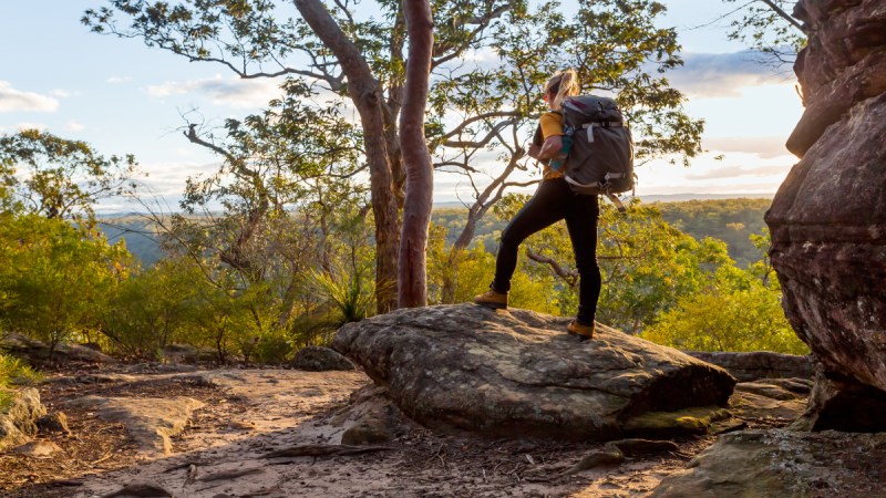 bushwalking