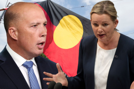 Liberals wonder about Dutton’s political strategy