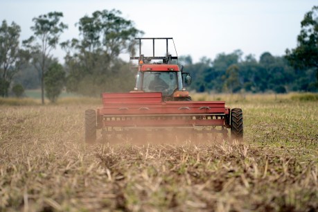China to lift tariffs on Australian barley exports