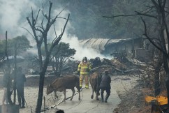 One dead after hundreds flee South Korean wildfire