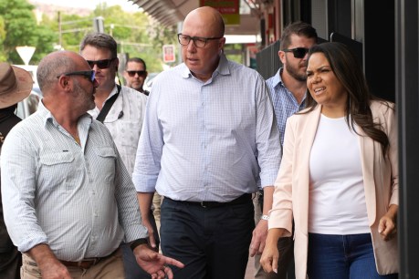 Alice Springs baker denies Dutton campaign