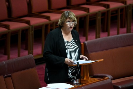Indigenous senator backs Dutton on NT abuse claims