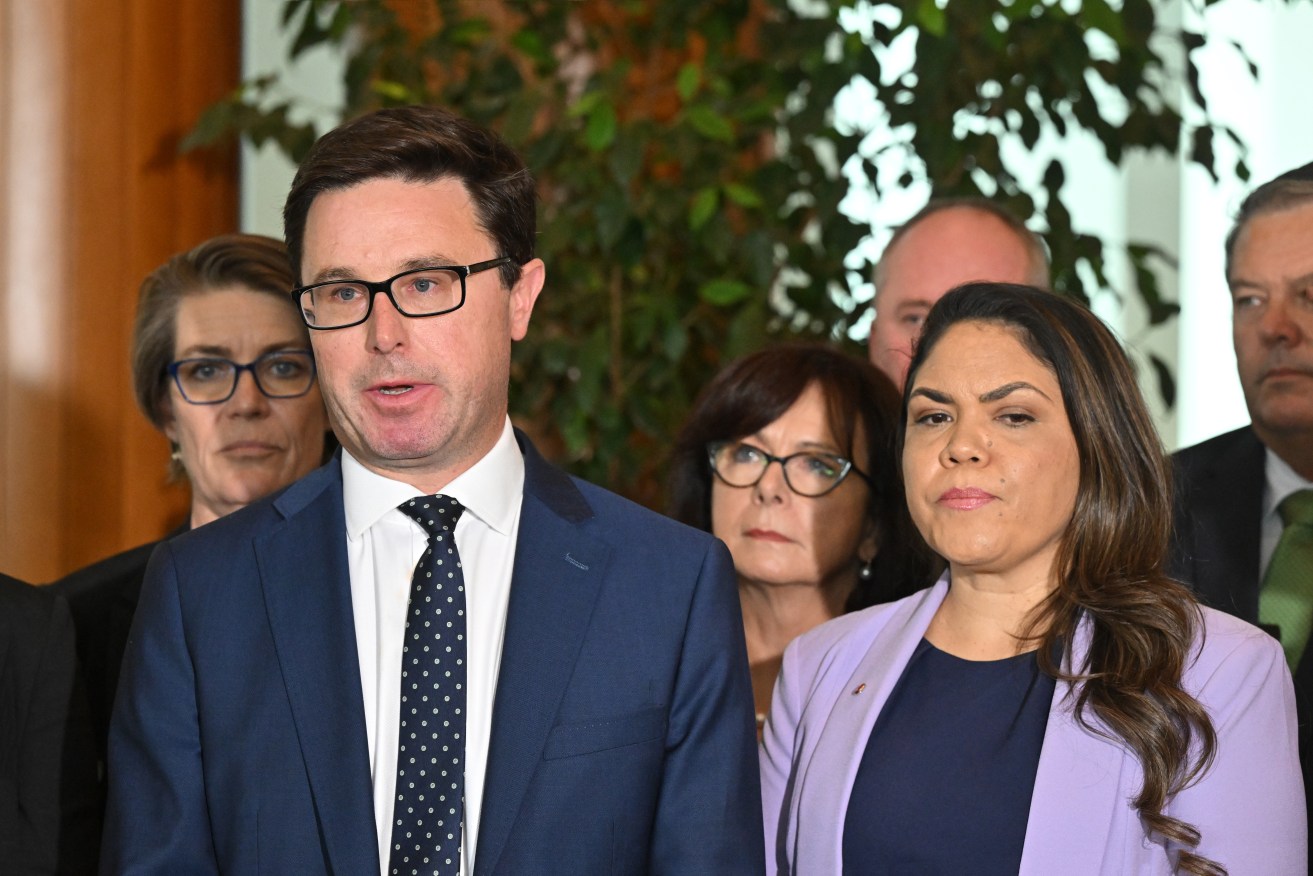 David Littleproud says he put Jacinta Price forward for the role because she was the best candidate.