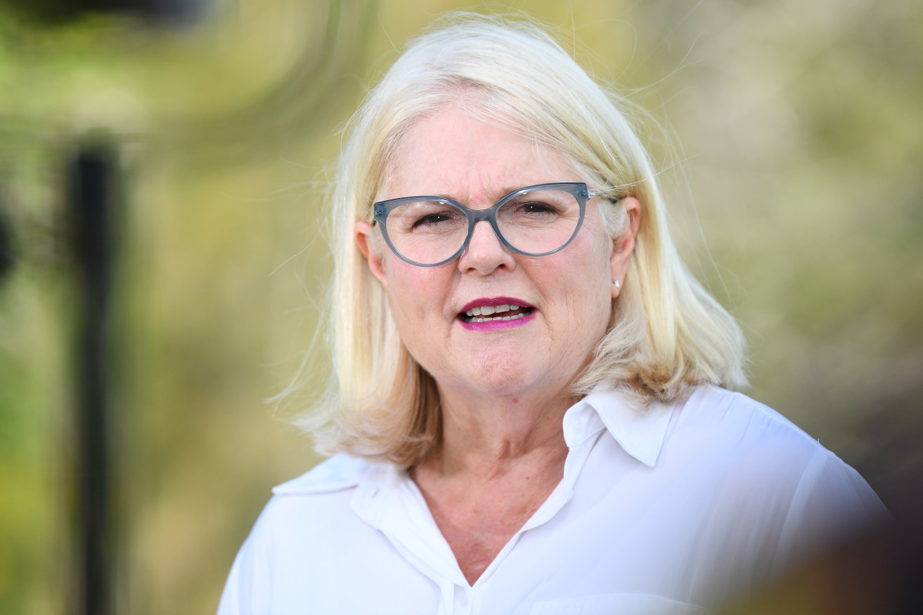 Former home affairs minister Karen Andrews announced her retirement at the next federal election.