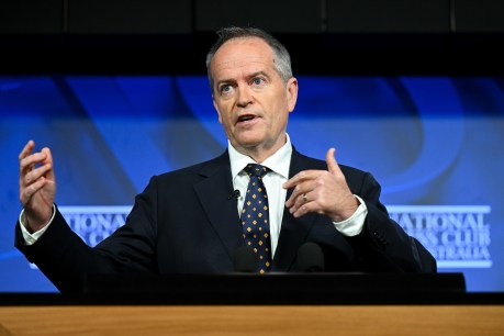 Shorten urges united approach to findings