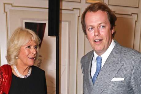 Queen Camilla ‘married for love’, her son insists