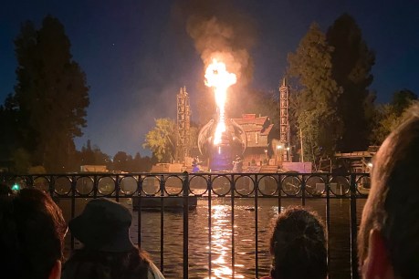 Dragon bursts into flames at US Disneyland show