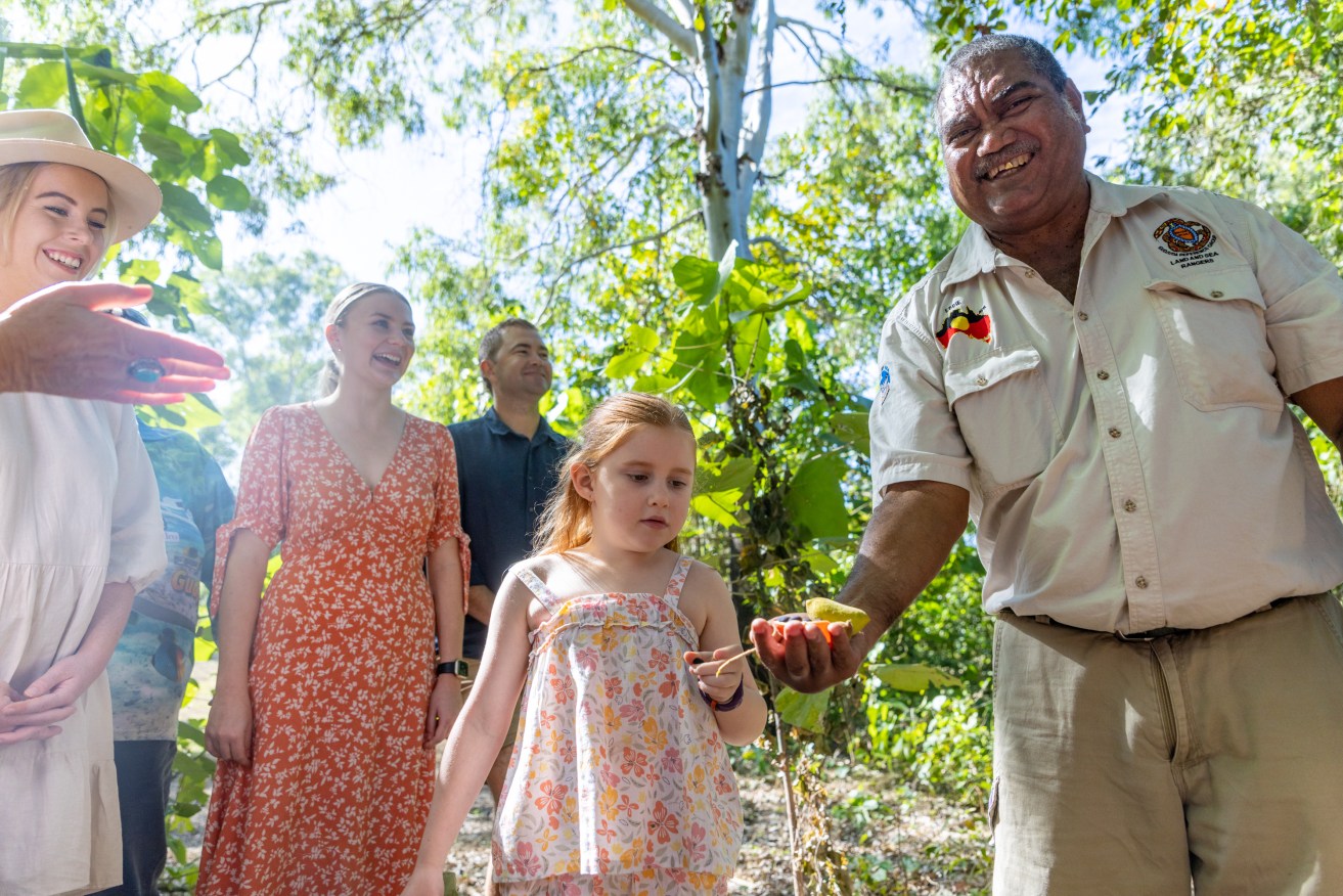 Insights about rock art and bush tucker are available in a series of cultural tours. 