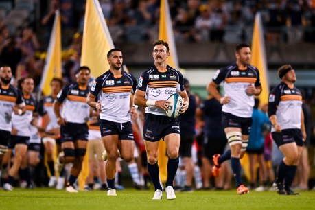 Brumbies duo in contract wait before World Cup