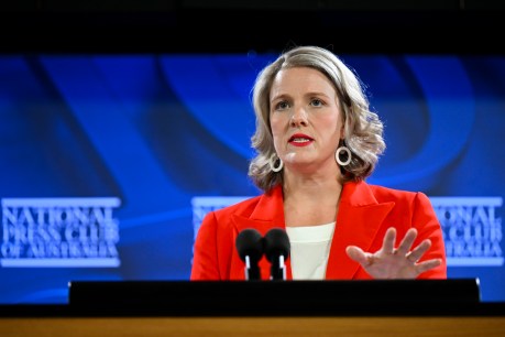 Minister slams decision to reinstate criminal&#8217;s visa