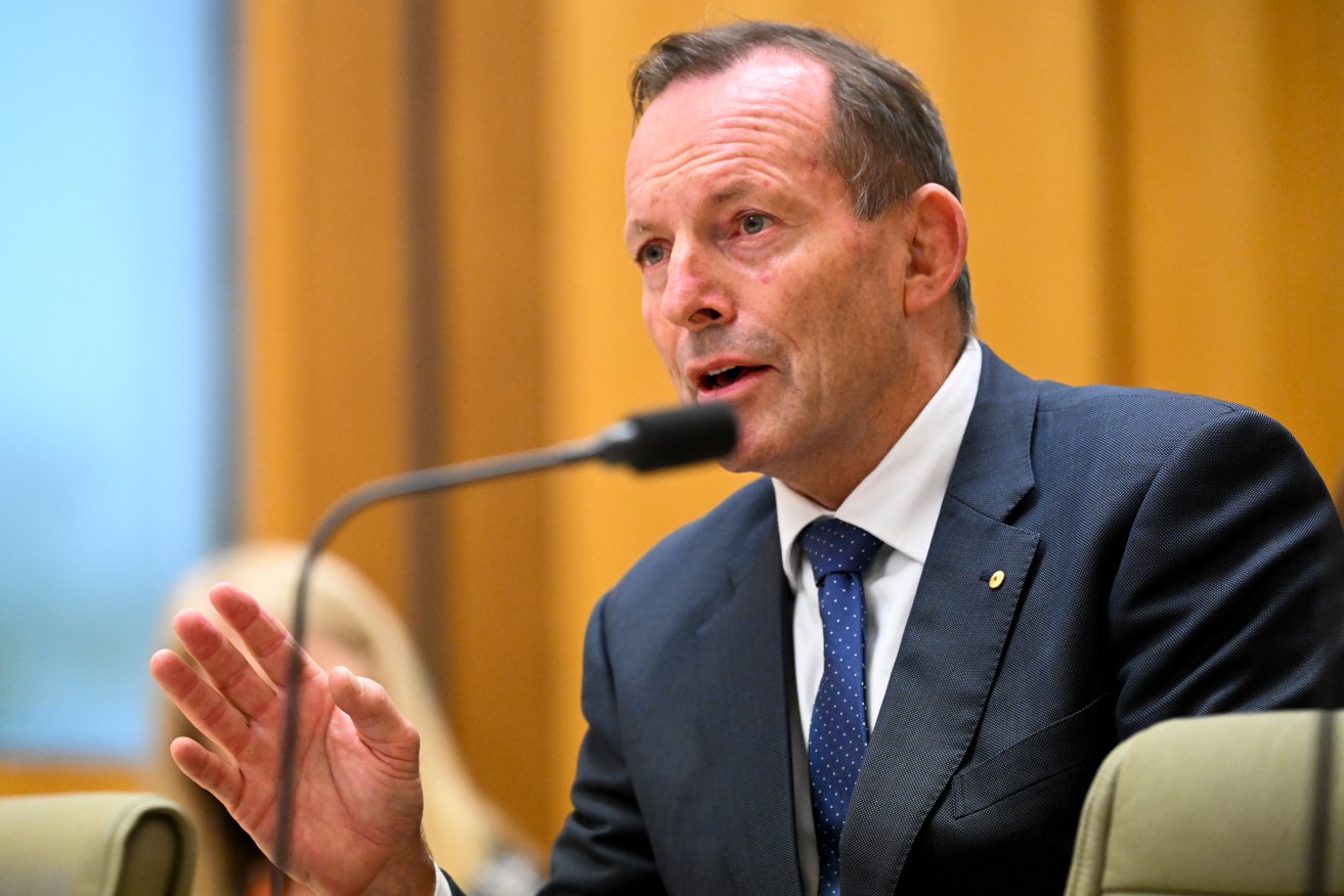 Tony Abbott says he thinks the Voice will divide Australia on the "basis of ancestry".