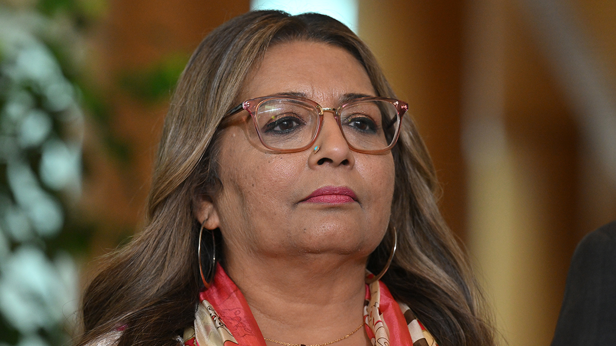 Senator Mehreen Faruqi Sues Pauline Hanson Over ‘hateful’ Tweet