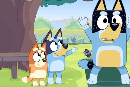 'Fat-shaming' scenes edited out of <i>Bluey</i>
