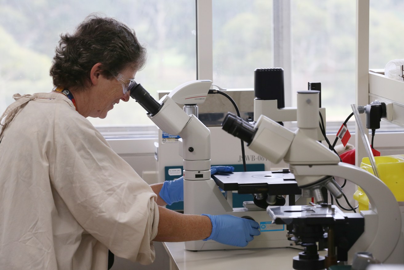 Universities are increasingly reliant on international student fees to pay for research activities.
