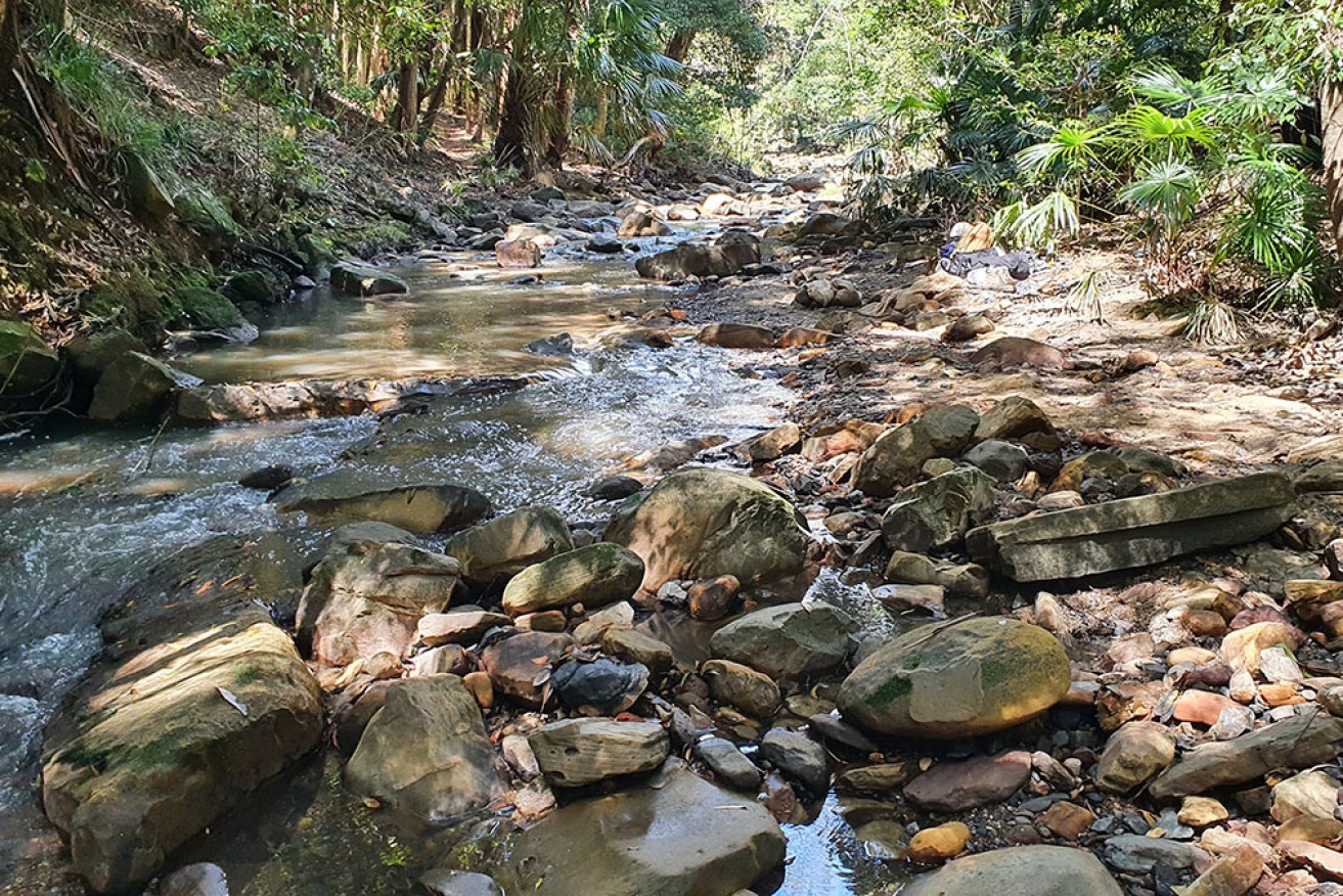 The environmental regulator is investigating pollution incidents at Camp Gully Creek.
