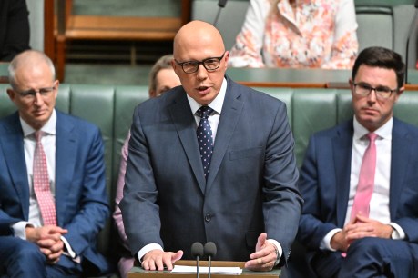 Dutton accused of scare tactics, debate resumes