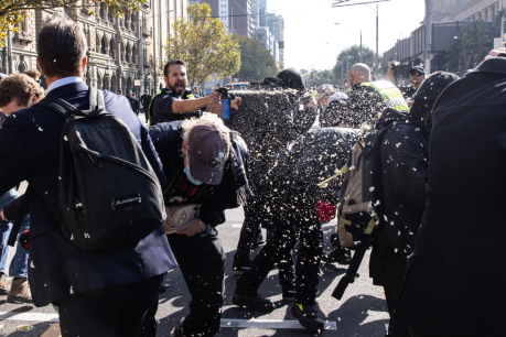 Arrests as masked Neo-Nazis spark wild brawl 