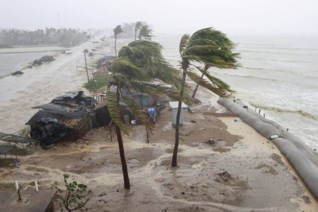 Ferocious cyclone Mocha makes landfall, claims lives