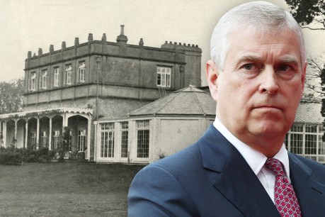 Prince Andrew’s ‘friends’ tell tabloids of his plight