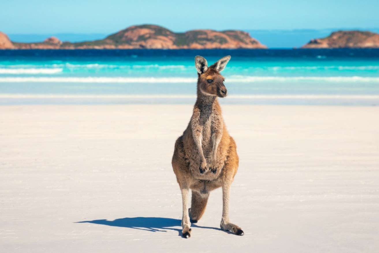 Lucky Beach has lived up to its name, ranking at the top of the world's best beaches.