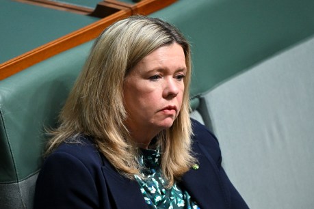 Liberal MP slams Dutton over ‘divisive’ Voice