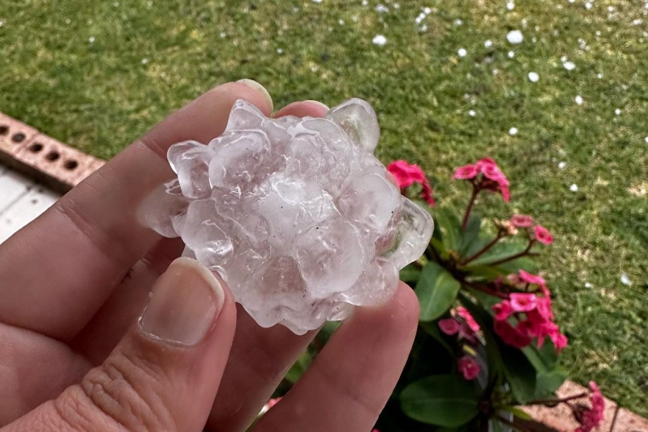 Severe thunderstorms have left Newcastle and the NSW central coast covered in hail.