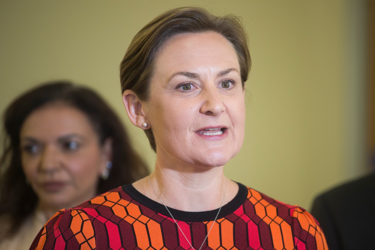 WA Health Minister Amber-Jade Sanderson is the Labor Party's left faction candidate to be premier.