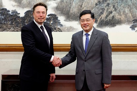 ‘Mutual respect’ call as minister meets Elon Musk 